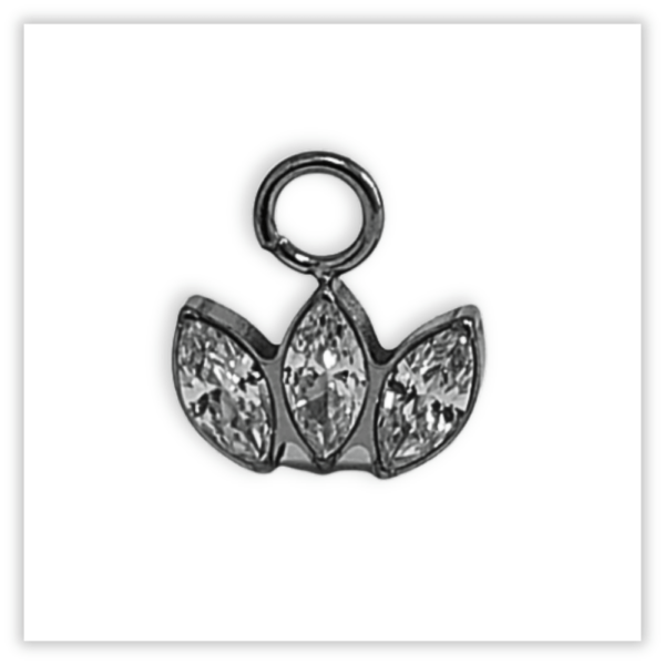 Acessório p/ piercing Titânio F136