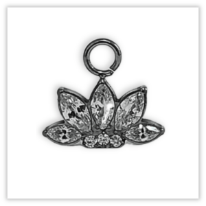 Acessório p/ piercing Titânio F136