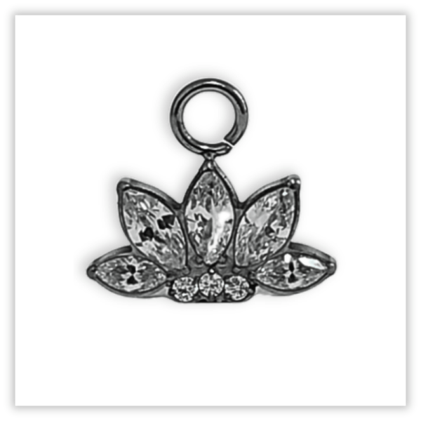 Acessório p/ piercing Titânio F136