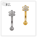 Piercing Íntimo / Rook decorado Fecho Rosca interna Titânio F136