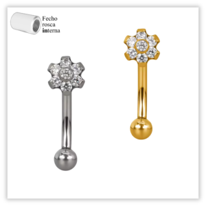 Piercing Íntimo / Rook decorado Fecho Rosca interna Titânio F136