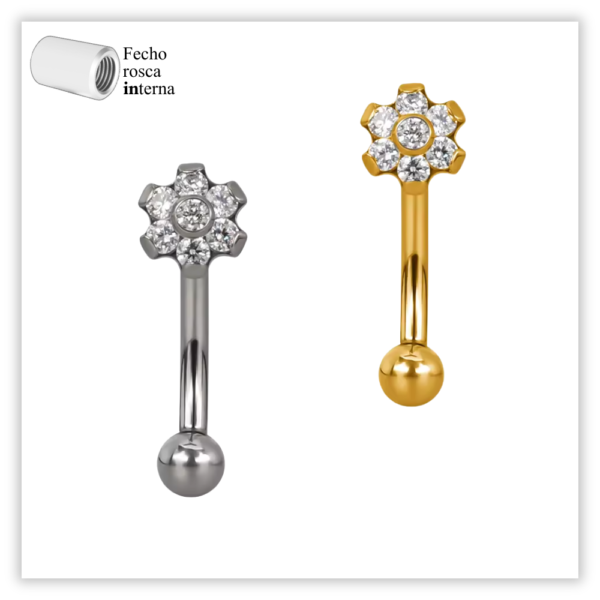 Piercing Íntimo / Rook decorado Fecho Rosca interna Titânio F136