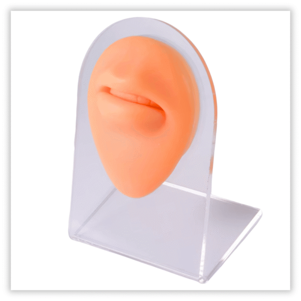 Expsitor silicone Boca