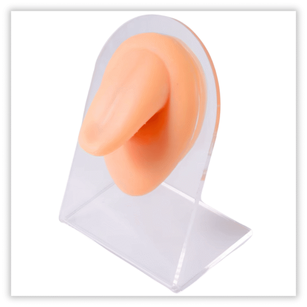 Expsitor silicone Língua