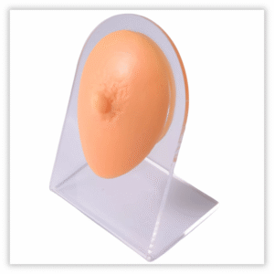 Expsitor silicone Mamilo