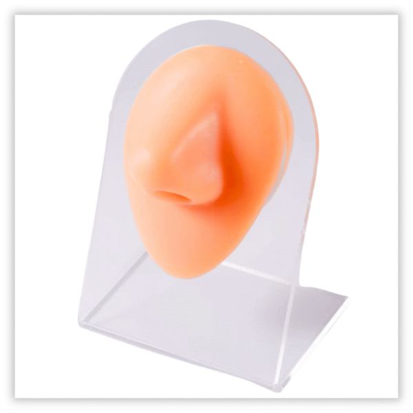 Expsitor silicone Nariz