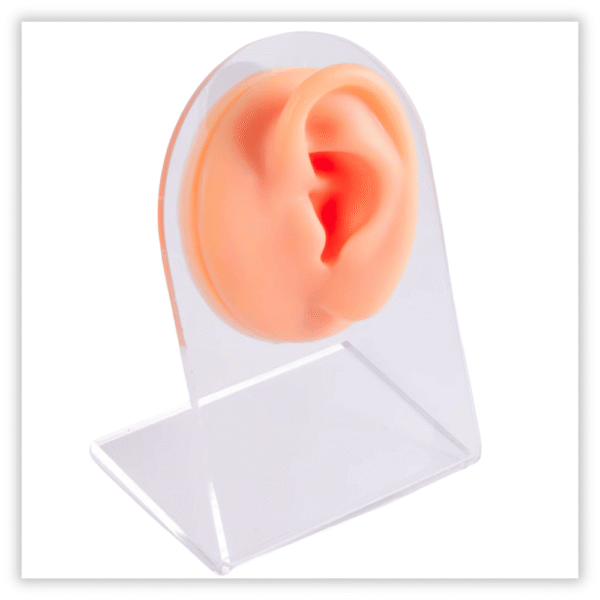Expsitor silicone Orelha esquerda