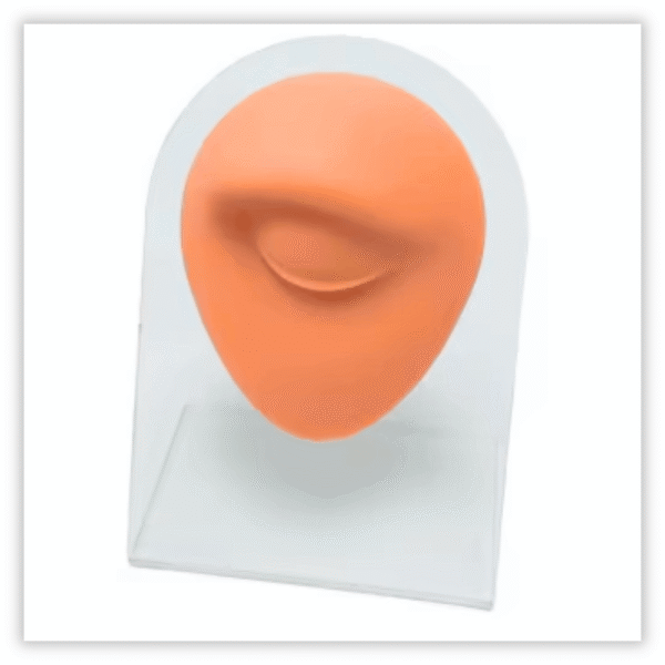 Expsitor silicone Sobrancelha