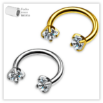 Piercing Ferradura Decorada Fecho Rosca interna Titânio F136
