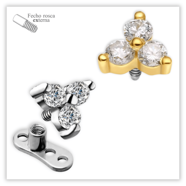 Piercing Implante Microdermal Fecho Rosca interna Titânio F136