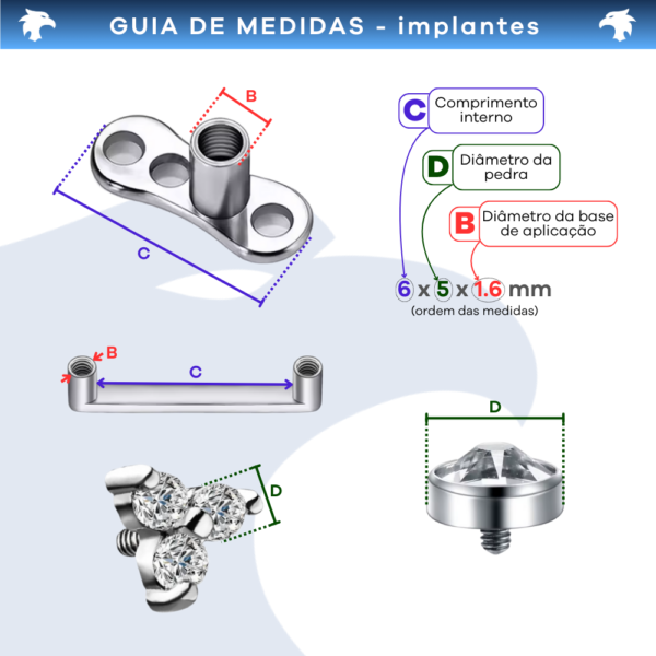 Piercing Implante Microdermal Fecho Rosca interna Titânio F136