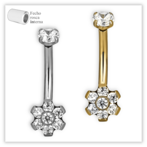 Piercing Íntimo / Rook decorado Fecho Rosca interna Titânio F136