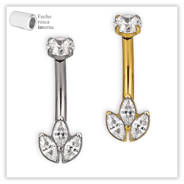 Piercing Íntimo / Rook decorado Fecho Rosca interna Titânio F136