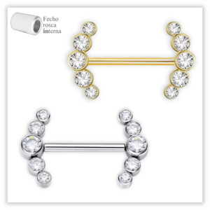 Piercing Mamilo Decorado Fecho Rosca interna Titânio F136