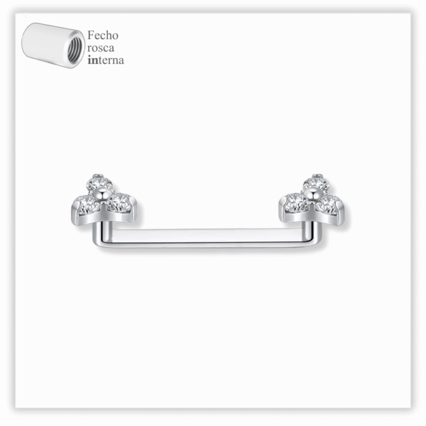 Piercing Implante Surface Fecho Rosca interna Titânio F136