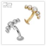 Piercing Umbigo decorado Fecho Plug (push pin) Titânio F136